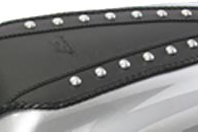 Fender Bib for Honda VTX1800F 